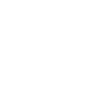 Brik's Logo
